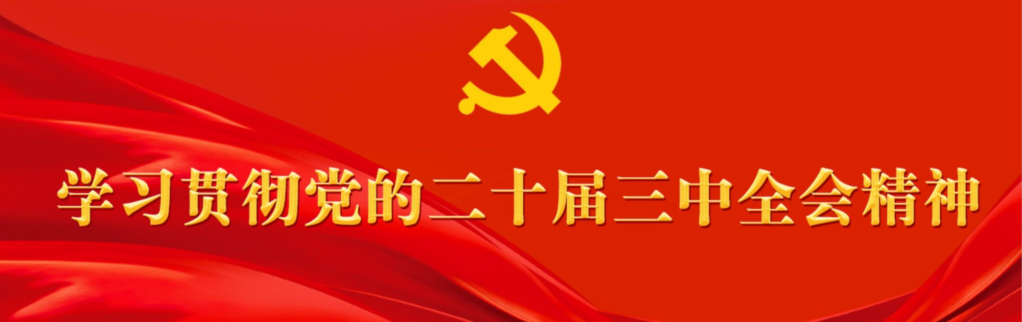 学习贯彻党的二十届三中全会精神